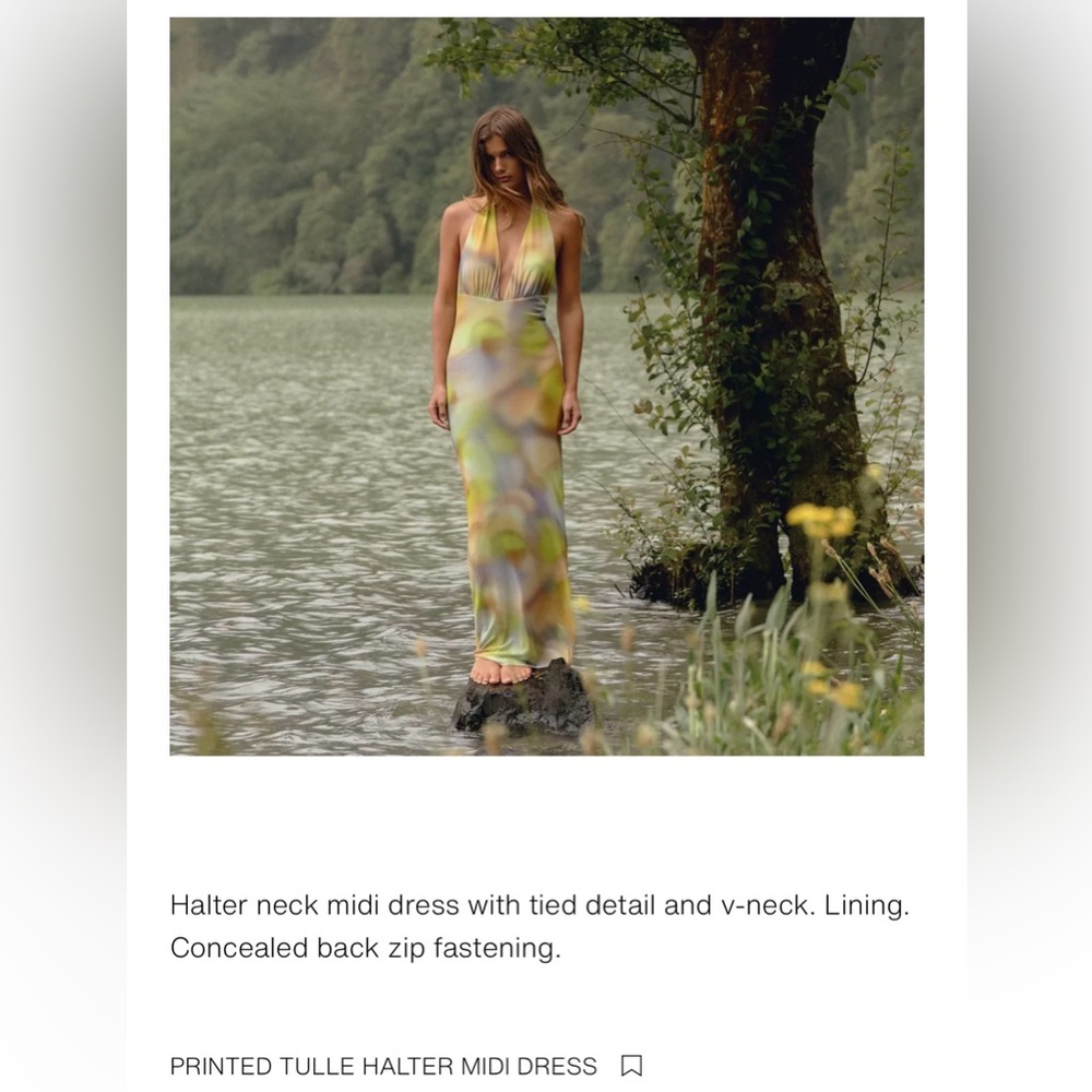 Zara dress